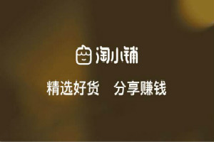 淘小鋪分享店主是什么